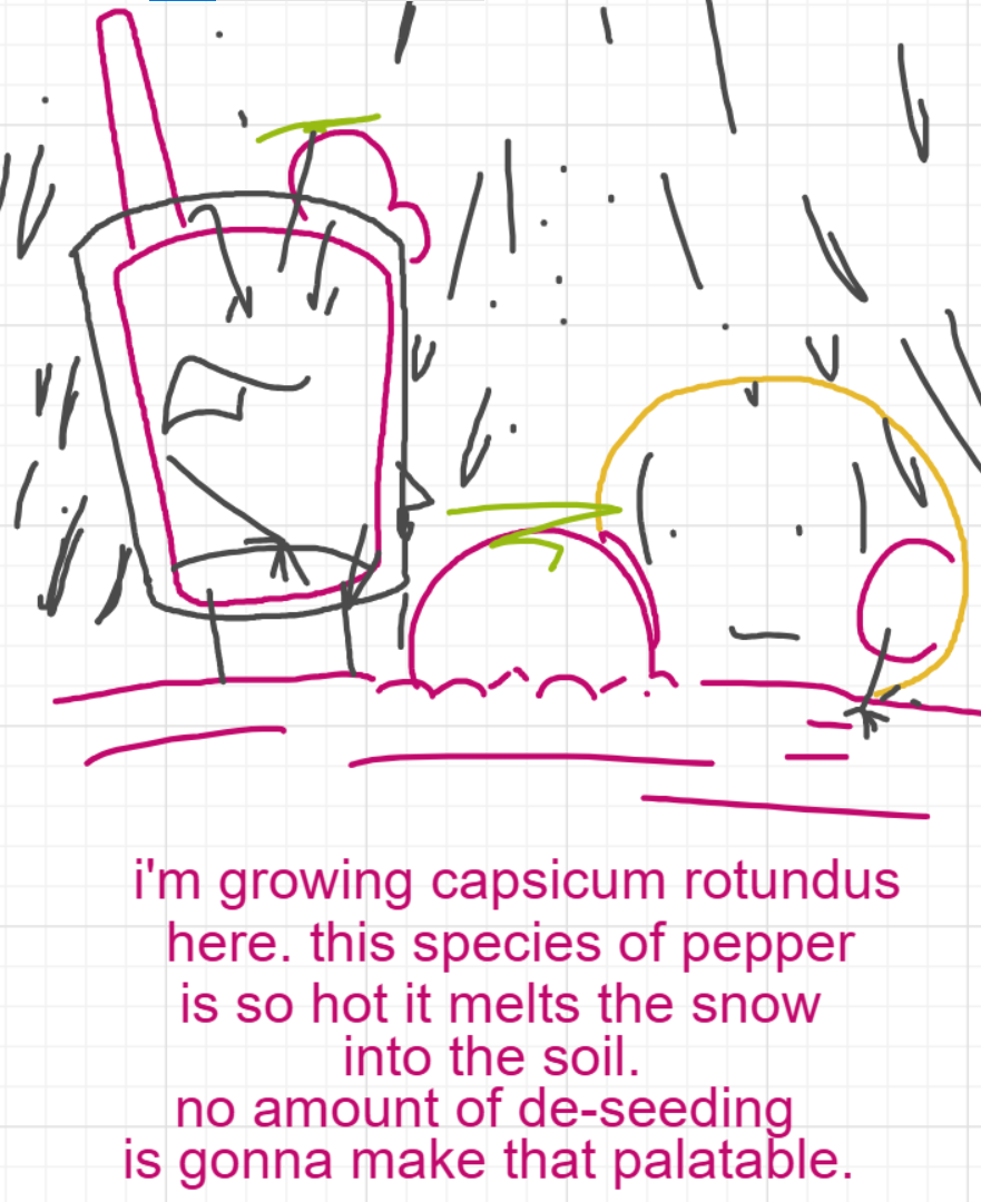 A panel from I've Been Everywhere, Man, episode nine of the Board Boards object show by Furretwalk/WalkingFurret.